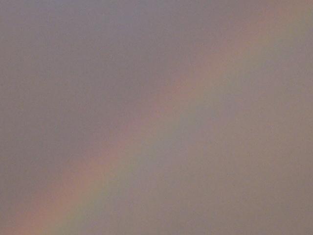 Foto di arcobes su Libero.it